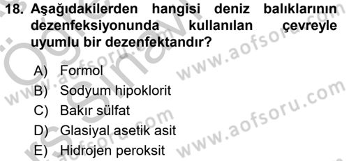 Balık Yetiştiriciliği Dersi 2016 - 2017 Yılı 3 Ders Sınav Soruları 18. Soru