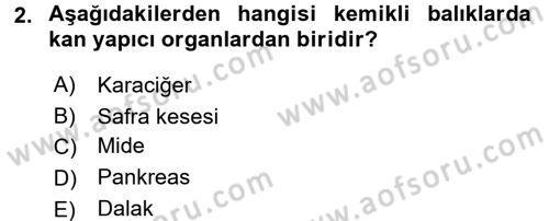 Balık Yetiştiriciliği Dersi 2016 - 2017 Yılı 3 Ders Sınav Soruları 2. Soru