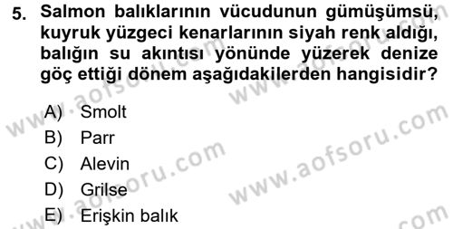 Balık Yetiştiriciliği Dersi 2016 - 2017 Yılı 3 Ders Sınav Soruları 5. Soru