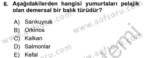 Balık Yetiştiriciliği Dersi 2016 - 2017 Yılı 3 Ders Sınav Soruları 6. Soru