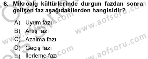 Balık Yetiştiriciliği Dersi 2016 - 2017 Yılı 3 Ders Sınav Soruları 8. Soru
