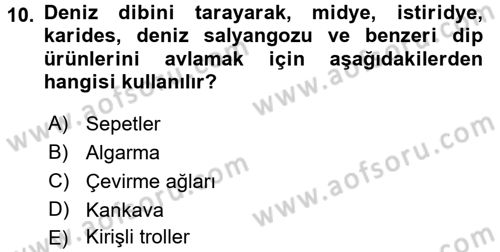Balık Yetiştiriciliği Dersi 2016 - 2017 Yılı (Vize) Ara Sınav Soruları 10. Soru