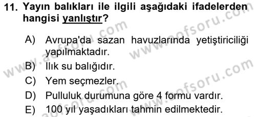 Balık Yetiştiriciliği Dersi 2016 - 2017 Yılı (Vize) Ara Sınav Soruları 11. Soru