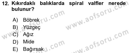 Balık Yetiştiriciliği Dersi 2016 - 2017 Yılı (Vize) Ara Sınav Soruları 12. Soru