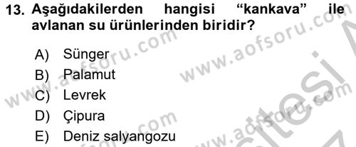 Balık Yetiştiriciliği Dersi 2016 - 2017 Yılı (Vize) Ara Sınav Soruları 13. Soru