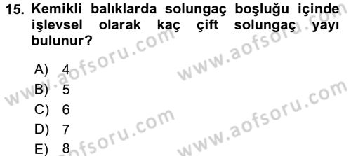 Balık Yetiştiriciliği Dersi 2016 - 2017 Yılı (Vize) Ara Sınav Soruları 15. Soru