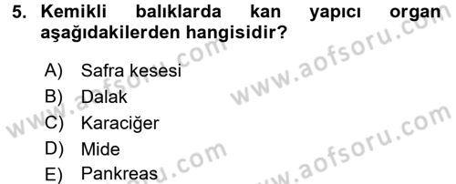 Balık Yetiştiriciliği Dersi 2016 - 2017 Yılı (Vize) Ara Sınav Soruları 5. Soru