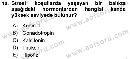 Balık Yetiştiriciliği Dersi 2016 - 2017 Yılı (Final) Dönem Sonu Sınav Soruları 10. Soru
