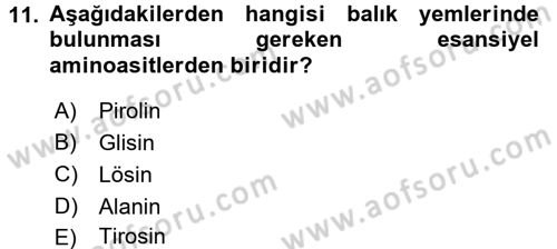 Balık Yetiştiriciliği Dersi 2016 - 2017 Yılı (Final) Dönem Sonu Sınav Soruları 11. Soru