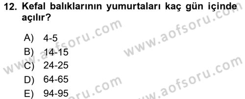 Balık Yetiştiriciliği Dersi 2016 - 2017 Yılı (Final) Dönem Sonu Sınav Soruları 12. Soru