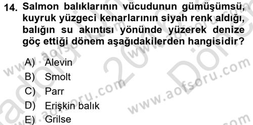 Balık Yetiştiriciliği Dersi 2016 - 2017 Yılı (Final) Dönem Sonu Sınav Soruları 14. Soru