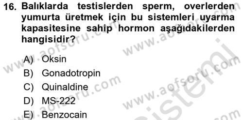 Balık Yetiştiriciliği Dersi 2016 - 2017 Yılı (Final) Dönem Sonu Sınav Soruları 16. Soru