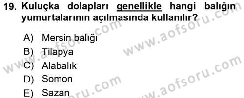 Balık Yetiştiriciliği Dersi 2016 - 2017 Yılı (Final) Dönem Sonu Sınav Soruları 19. Soru