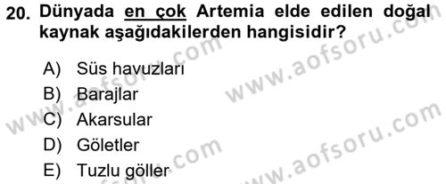 Balık Yetiştiriciliği Dersi 2016 - 2017 Yılı (Final) Dönem Sonu Sınav Soruları 20. Soru