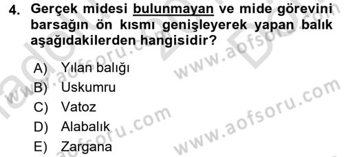 Balık Yetiştiriciliği Dersi 2016 - 2017 Yılı (Final) Dönem Sonu Sınav Soruları 4. Soru