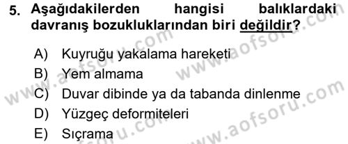 Balık Yetiştiriciliği Dersi 2016 - 2017 Yılı (Final) Dönem Sonu Sınav Soruları 5. Soru