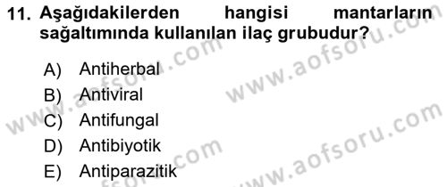 Balık Yetiştiriciliği Dersi 2017 - 2018 Yılı 3 Ders Sınav Soruları 11. Soru