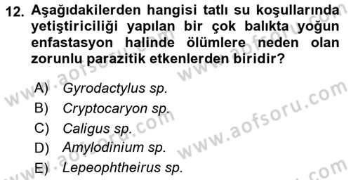 Balık Yetiştiriciliği Dersi 2017 - 2018 Yılı 3 Ders Sınav Soruları 12. Soru
