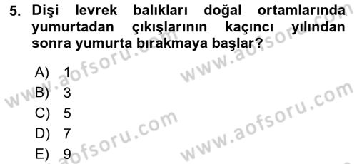 Balık Yetiştiriciliği Dersi 2017 - 2018 Yılı 3 Ders Sınav Soruları 5. Soru
