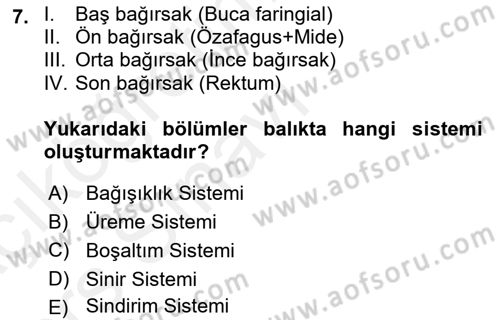 Balık Yetiştiriciliği Dersi 2017 - 2018 Yılı 3 Ders Sınav Soruları 7. Soru