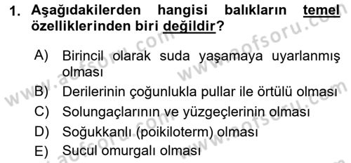 Balık Yetiştiriciliği Dersi 2017 - 2018 Yılı (Vize) Ara Sınav Soruları 1. Soru