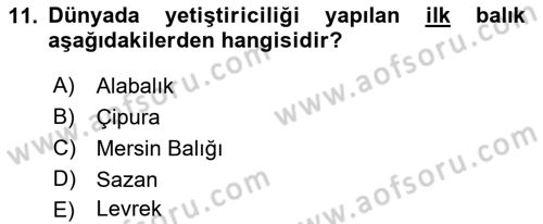 Balık Yetiştiriciliği Dersi 2017 - 2018 Yılı (Vize) Ara Sınav Soruları 11. Soru