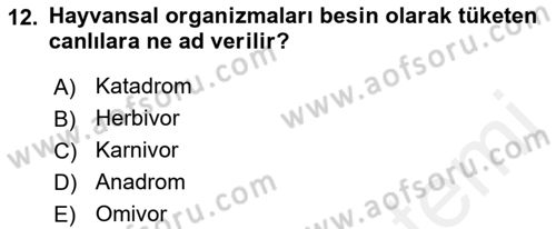 Balık Yetiştiriciliği Dersi 2017 - 2018 Yılı (Vize) Ara Sınav Soruları 12. Soru