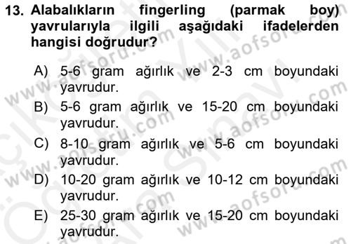 Balık Yetiştiriciliği Dersi 2017 - 2018 Yılı (Vize) Ara Sınav Soruları 13. Soru