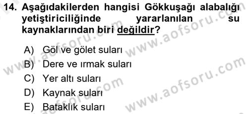 Balık Yetiştiriciliği Dersi 2017 - 2018 Yılı (Vize) Ara Sınav Soruları 14. Soru