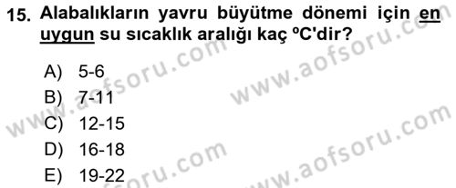 Balık Yetiştiriciliği Dersi 2017 - 2018 Yılı (Vize) Ara Sınav Soruları 15. Soru