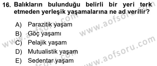 Balık Yetiştiriciliği Dersi 2017 - 2018 Yılı (Vize) Ara Sınav Soruları 16. Soru