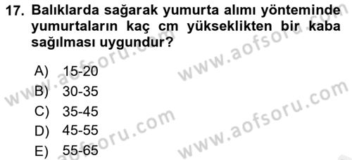 Balık Yetiştiriciliği Dersi 2017 - 2018 Yılı (Vize) Ara Sınav Soruları 17. Soru