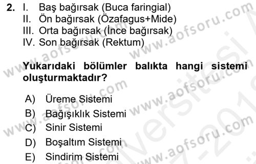 Balık Yetiştiriciliği Dersi 2017 - 2018 Yılı (Vize) Ara Sınav Soruları 2. Soru