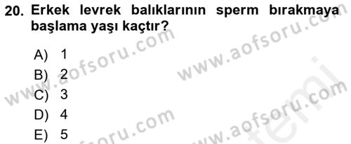 Balık Yetiştiriciliği Dersi 2017 - 2018 Yılı (Vize) Ara Sınav Soruları 20. Soru