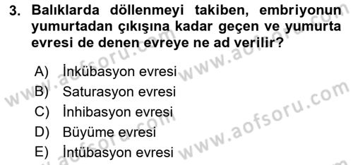 Balık Yetiştiriciliği Dersi 2017 - 2018 Yılı (Vize) Ara Sınav Soruları 3. Soru