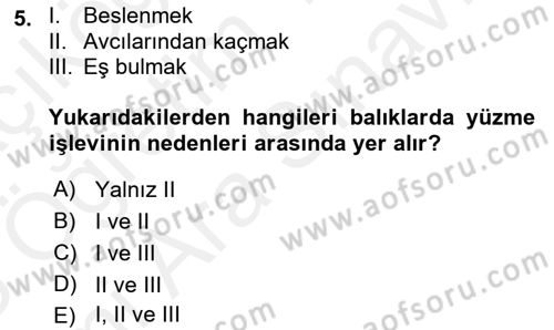 Balık Yetiştiriciliği Dersi 2017 - 2018 Yılı (Vize) Ara Sınav Soruları 5. Soru