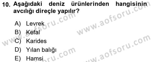Balık Yetiştiriciliği Dersi 2017 - 2018 Yılı (Final) Dönem Sonu Sınav Soruları 10. Soru