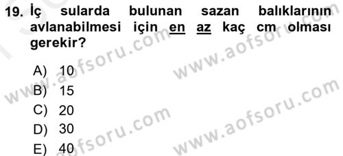 Balık Yetiştiriciliği Dersi 2017 - 2018 Yılı (Final) Dönem Sonu Sınav Soruları 19. Soru