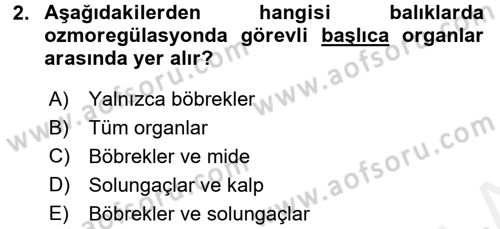 Balık Yetiştiriciliği Dersi 2017 - 2018 Yılı (Final) Dönem Sonu Sınav Soruları 2. Soru