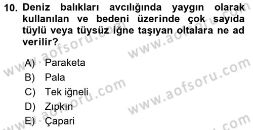 Balık Yetiştiriciliği Dersi 2018 - 2019 Yılı 3 Ders Sınav Soruları 10. Soru