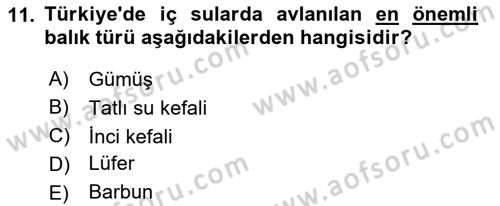 Balık Yetiştiriciliği Dersi 2018 - 2019 Yılı 3 Ders Sınav Soruları 11. Soru
