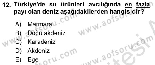 Balık Yetiştiriciliği Dersi 2018 - 2019 Yılı 3 Ders Sınav Soruları 12. Soru