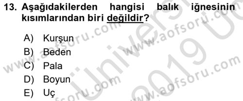 Balık Yetiştiriciliği Dersi 2018 - 2019 Yılı 3 Ders Sınav Soruları 13. Soru
