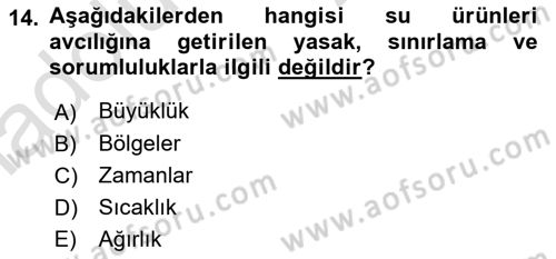 Balık Yetiştiriciliği Dersi 2018 - 2019 Yılı 3 Ders Sınav Soruları 14. Soru