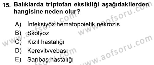 Balık Yetiştiriciliği Dersi 2018 - 2019 Yılı 3 Ders Sınav Soruları 15. Soru
