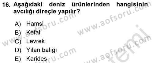 Balık Yetiştiriciliği Dersi 2018 - 2019 Yılı 3 Ders Sınav Soruları 16. Soru