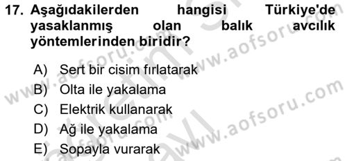 Balık Yetiştiriciliği Dersi 2018 - 2019 Yılı 3 Ders Sınav Soruları 17. Soru