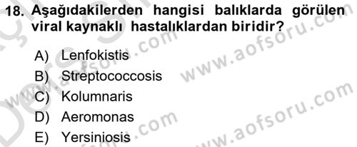 Balık Yetiştiriciliği Dersi 2018 - 2019 Yılı 3 Ders Sınav Soruları 18. Soru