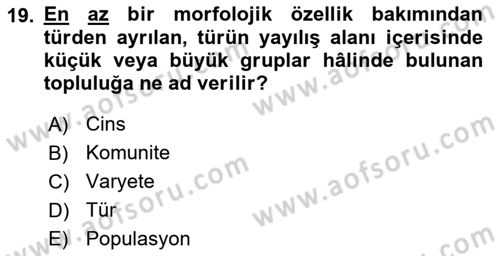 Balık Yetiştiriciliği Dersi 2018 - 2019 Yılı 3 Ders Sınav Soruları 19. Soru