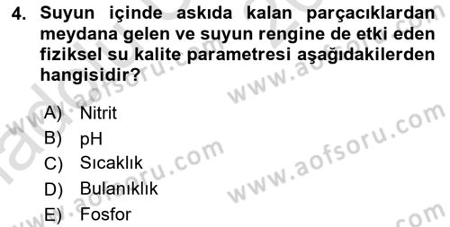 Balık Yetiştiriciliği Dersi 2018 - 2019 Yılı 3 Ders Sınav Soruları 4. Soru